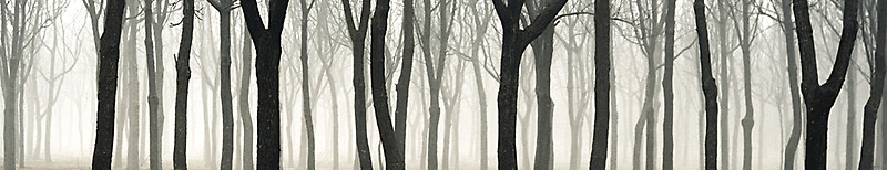 flat,800x800,070,f.u3