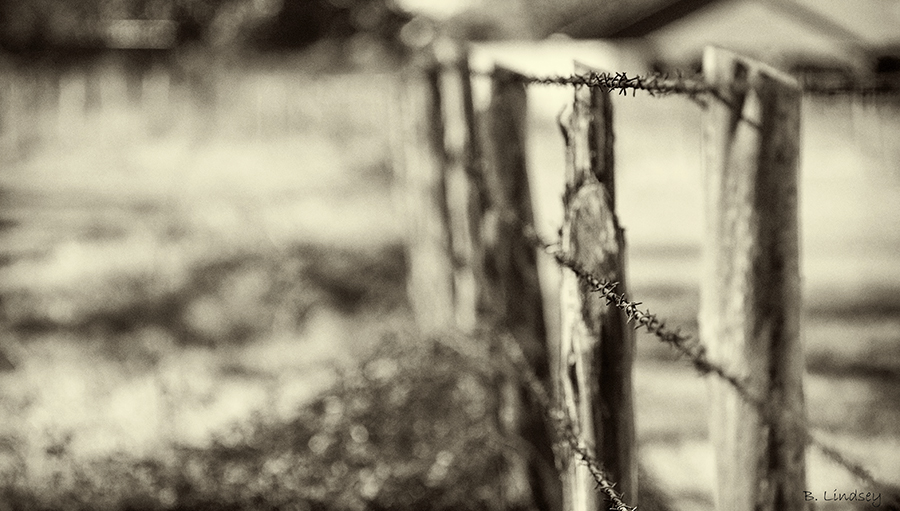 fence2