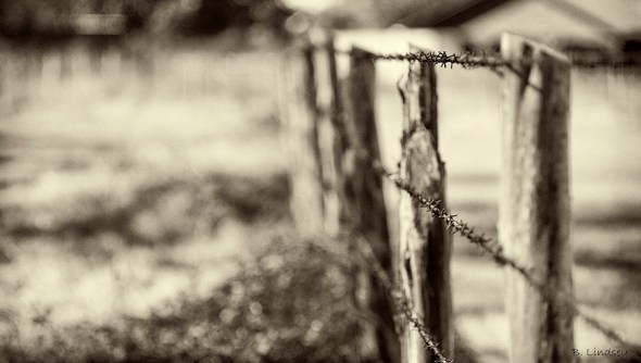 fence2