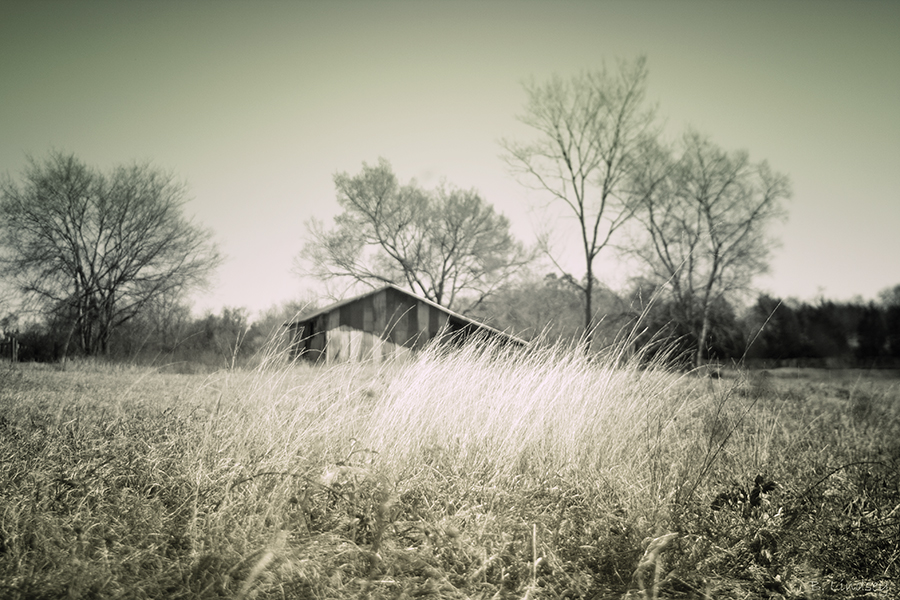 texas-barn-28mm-i-think