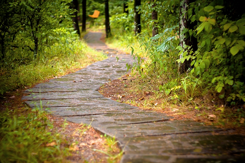Rim Rock Trail Aug 2017