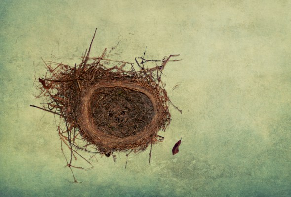 Nest1