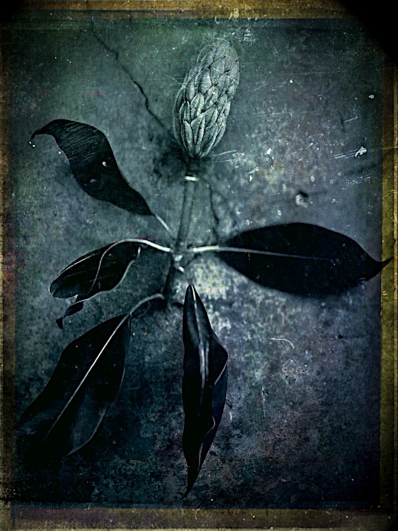 She Breathes M O N O C H R O M E J U N K I E